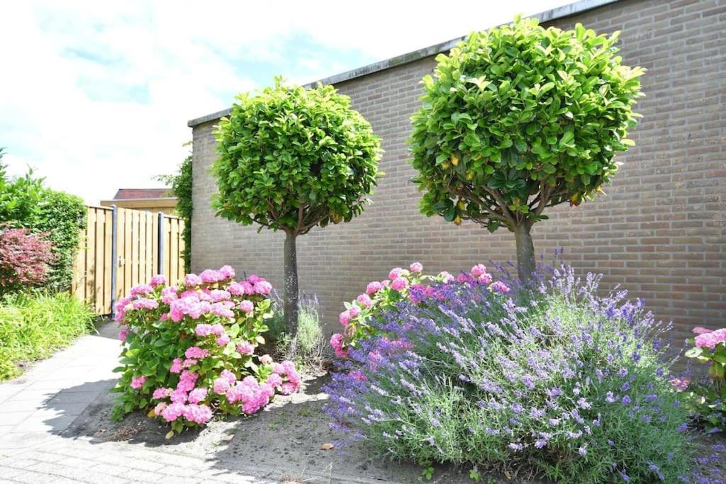 Vrijvakantiehuis Houtenburgseweg 2 佐特兰德 外观 照片